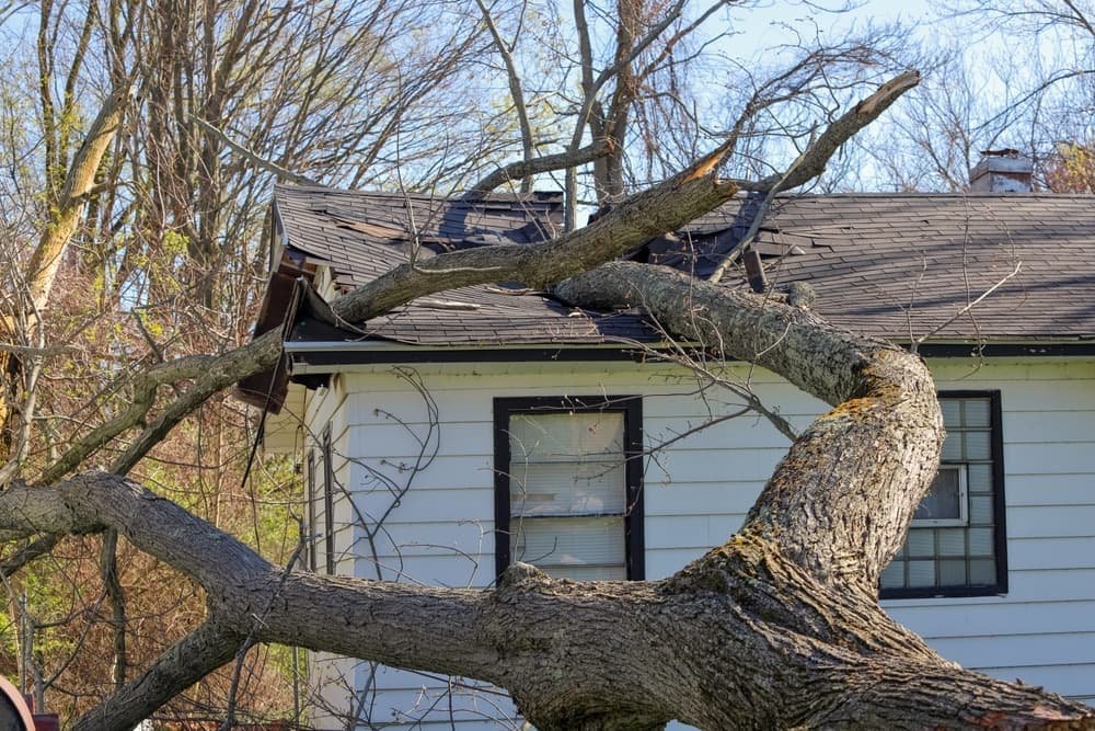 emergency roof repairs in Charlotte, NC