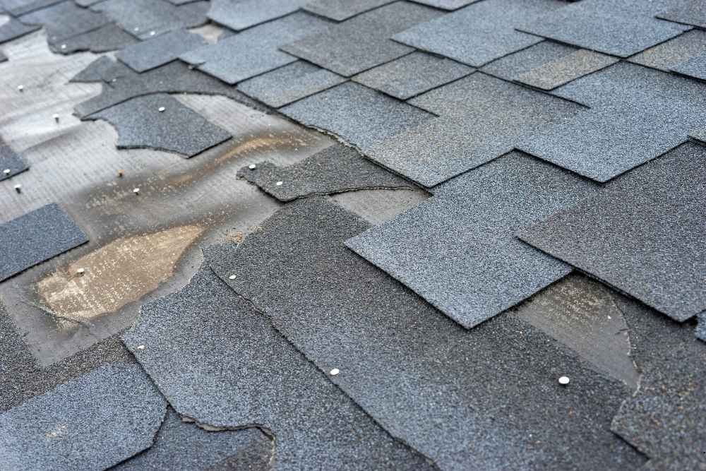 shingle roof replacement Gastonia NC